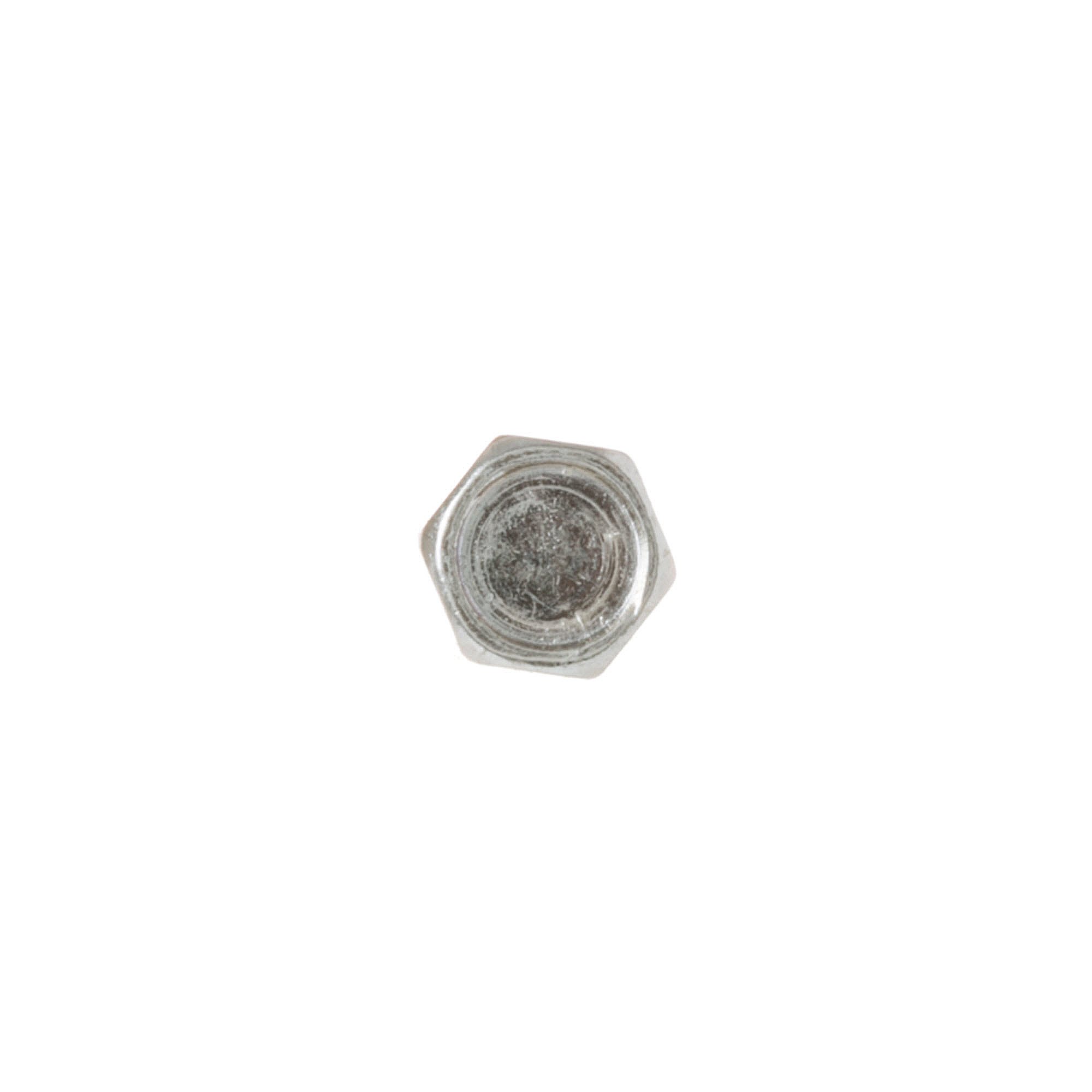 Dishwasher Hinge Screw WD2X248