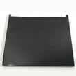 Dishwasher Panel for GE GSD2020F03BB - Part WD31X10037