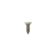 Mounting Screw