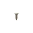 Mounting Screw for GE JGBS10BEF1BB - Part WB01K10024
