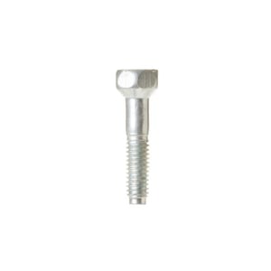 Screw WB01T10091