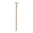 Screw, #10-16 WB01T10129