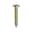 Screw for GE ZWL1126S3JSS - Part WB01X25466