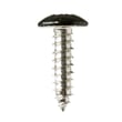 Screw WB01X1315