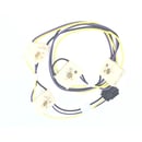 Range Igniter Switch and Harness Assembly