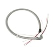 Conduit Wire WB18T10567