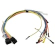 Wire Harness WB18X20001