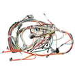 Main Wire Harness WB18X24030