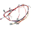 Main Harness for GE PGS930YP2FS - Part WB18X28898
