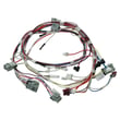 Main Harness WB18X31609