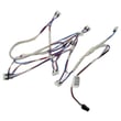 Harness Lighting for GE ZDP486NDT1SS - Part WB18X39313