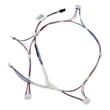 Harness Lighting for GE ZDP304NT1SS - Part WB18X39338