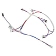 Harness Lighting for GE ZGP364NDT2SS - Part WB18X39351