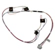 Harness Burner Box for GE ZDP304NT1SS - Part WB18X39357