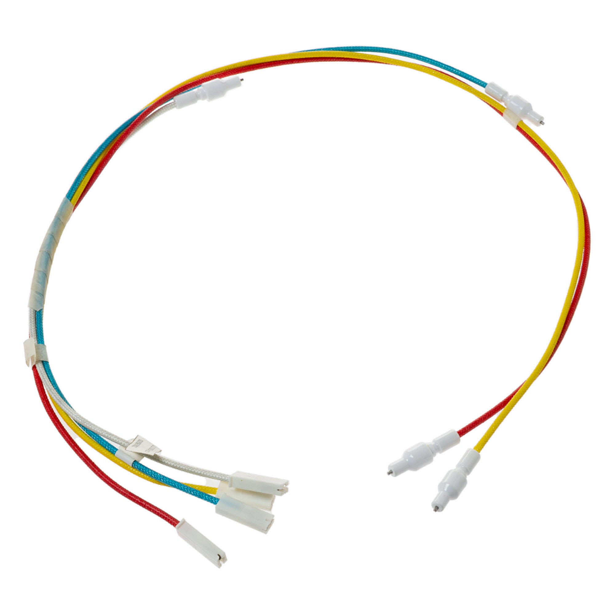 Part #wb18X42813, Electrodes & Harness Hv