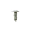 Trim Screw for Hotpoint RB787GT3BB - Part WB1K5169