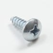 Screw for GE PSA1201RSS01 - Part WB1X1515