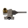 Valve Assembly for GE PGP990DEN1WW - Part WB21X10134