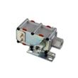 Safety Valve WB21X20474