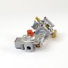 Range Gas Valve And Regulator Assembly WB21X21506