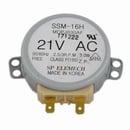 Microwave Turntable Motor