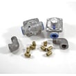 Gas Grill Natural Gas Conversion Kit WB28X10116