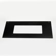 Door Screen for GE ZMC1095BFBB1 - Part WB36X10210