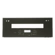 Outer Door Asm for GE PT9200SL2SS - Part WB56X30359