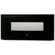 Ge Parts Assembly-door for GE JK3800DH8BB - Part WB56X38534