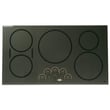 Ge Cooktop Main Top (stainless) WB62X29628