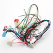 Microwave Wire Harness for Samsung SMH8165ST/XAA-01 - Part DE96-00492B