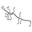 Microwave Light Wire Harness DE96-01084A