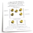 Range Lp Conversion Kit DG94-00635A