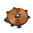 Range Induction Coil for Samsung FTQ307NWGX/XAA-00 - Part DG96-00088C