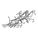 Wall Oven Wire Harness