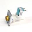 Dishwasher Water Inlet Valve