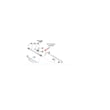 Fisher & Paykel Gas Grill Nut 211358