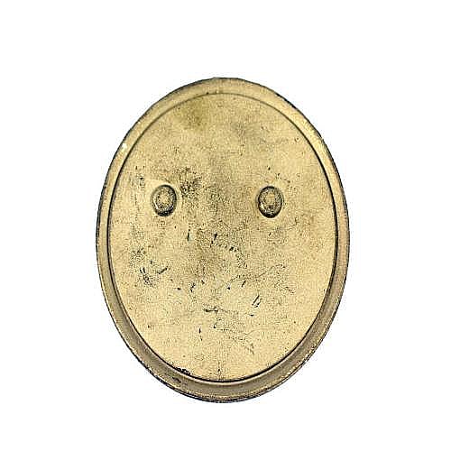 Part #248602P, Fisher & Paykel Ring 3Mm C-Port Dual Stage
