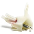Dishwasher Dish Drawer Latch Assembly, Right 526128