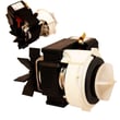 Fisher & Paykel Washer Drain Pump for Fisher & Paykel GWL15-96200A - Part 420325P