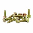 Fisher & Paykel Washer Screw, 10-pack 426835P