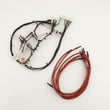 Dacor Wire Harness 72437