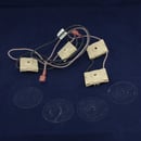 Range Igniter Switch and Harness Assembly