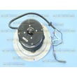 Cooktop Blower Motor for Jenn-Air JGD8430ADF - Part 74005785