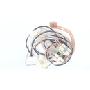 Range Igniter Switch and Harness Assembly (replaces 74009874)