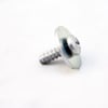 Range Screw 74011674
