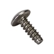 Screw 3005-0032