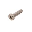 Dishwasher Screw