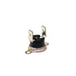 Cut-out for Sharp R-230EK - Part RTHM-A116WRE0