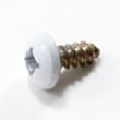 Dishwasher Screw 154371301
